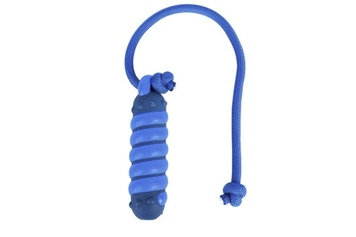 Nylon touwstok van PA en nylon, Classic Chew, blauw touw met stok op een witte achtergrond